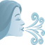 :wind_blowing_face:
