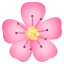 :cherry_blossom:
