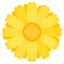 :blossom: