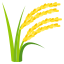 :ear_of_rice: