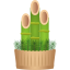 :bamboo: