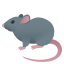 :rat: