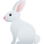 :rabbit2: