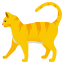 :cat2: