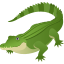 :crocodile: