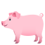 :pig2: