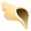 :shell: