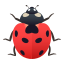 :lady_beetle: