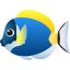 :tropical_fish: