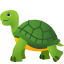 :turtle: