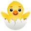 :hatching_chick:
