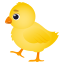 :baby_chick: