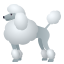 :poodle: