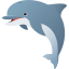 :dolphin: