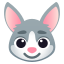 :rabbit: