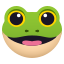 :frog: