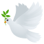 :dove: