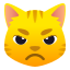 :pouting_cat: