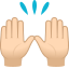 :raised_hands_tone1:
