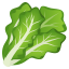 :leafy_green: