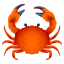 :crab: