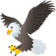 :eagle: