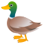 :duck: