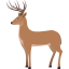 :deer: