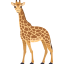 :giraffe: