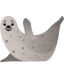 :seal: