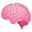 :brain: