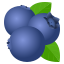 :blueberries: